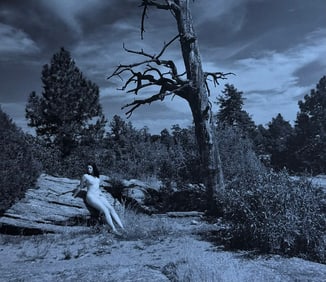 The Beauty of Coloardo, 2019