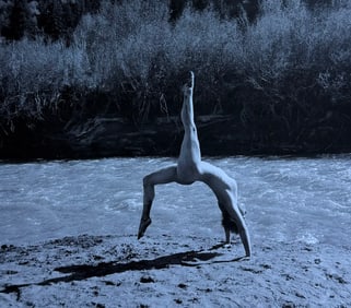 The Beauty of Coloardo, 2019