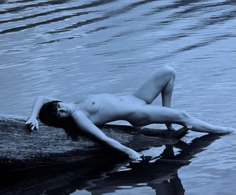 The Beauty of Coloardo, 2019