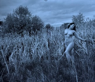 The Beauty of Coloardo, 2019