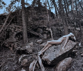 The Beauty of Coloardo, 2019