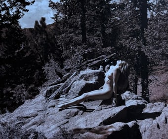 The Beauty of Coloardo, 2019