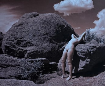 The Beauty of Coloardo, 2019