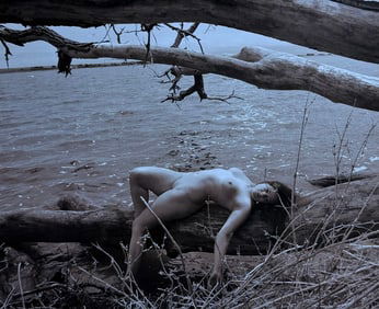 The Beauty of Coloardo, 2019