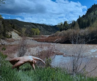 The Beauty of Coloardo, 2019