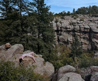 The Beauty of Coloardo, 2019