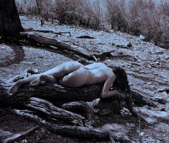 The Beauty of Coloardo, 2019