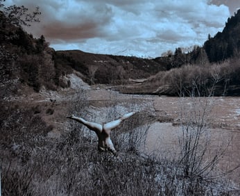 The Beauty of Coloardo, 2019