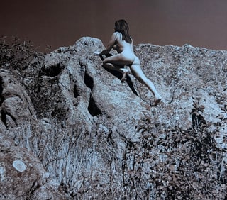 The Beauty of Coloardo, 2019