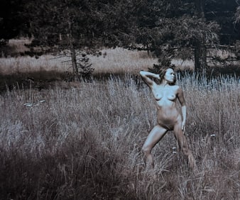 The Beauty of Coloardo, 2019