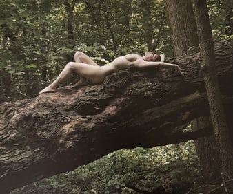 The Beauty of Iowa, 2018