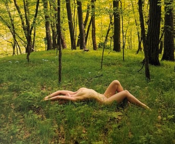 The Beauty of Iowa, 2018