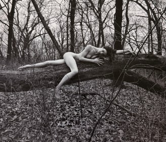 The Beauty of Iowa, 2018