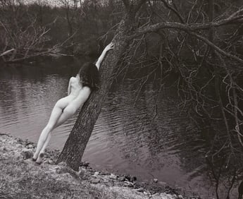 The Beauty of Iowa, 2018