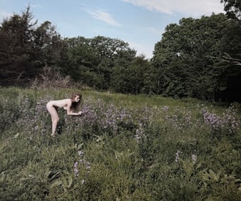 The Beauty of Iowa, 2018