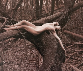 The Beauty of Iowa, 2018