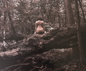 The Beauty of Iowa, 2018