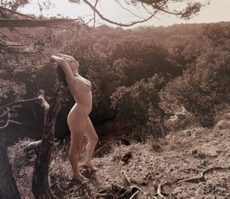 The Beauty of Iowa, 2018