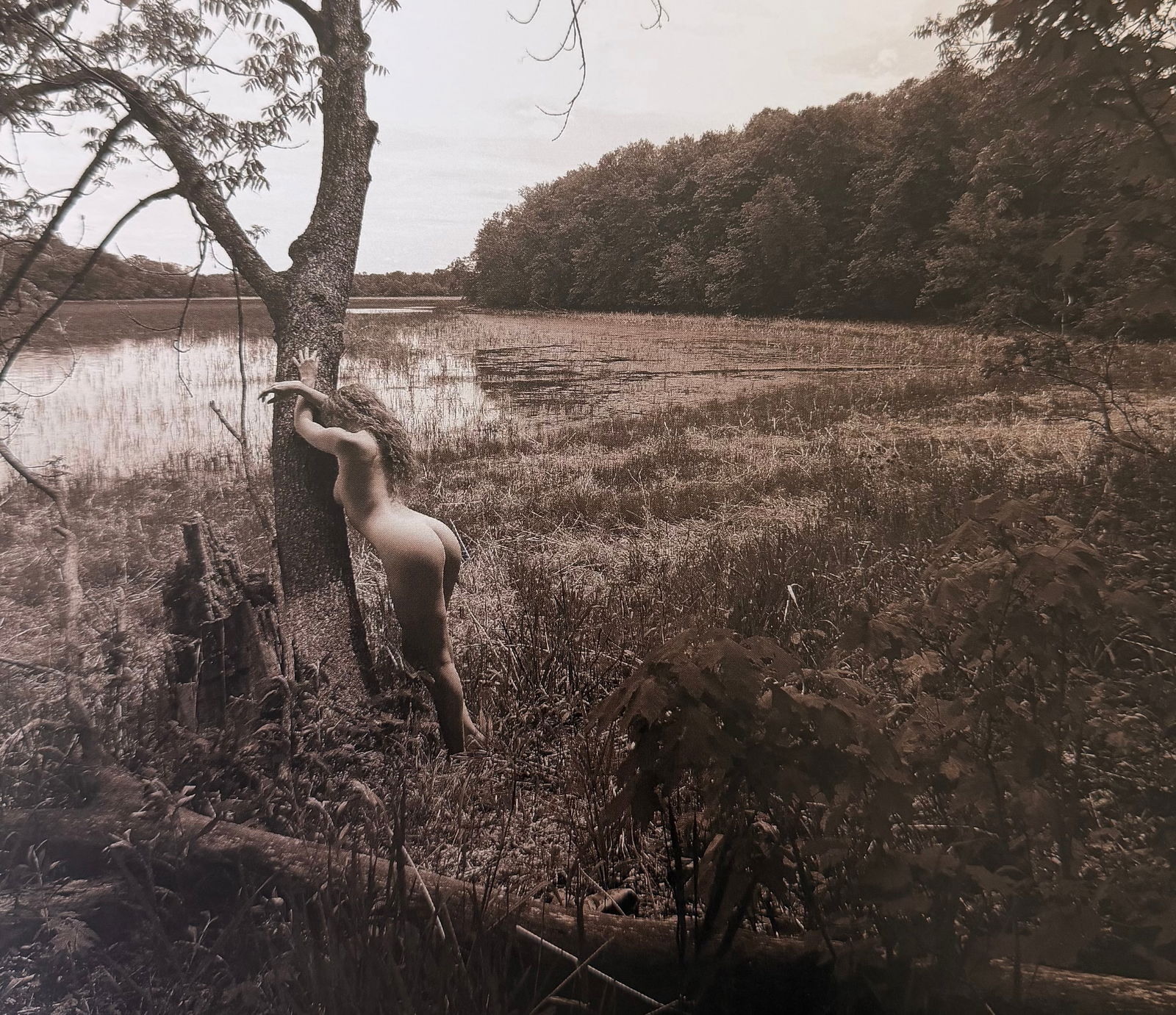 The Beauty of Iowa, 2018 (1 of 1)