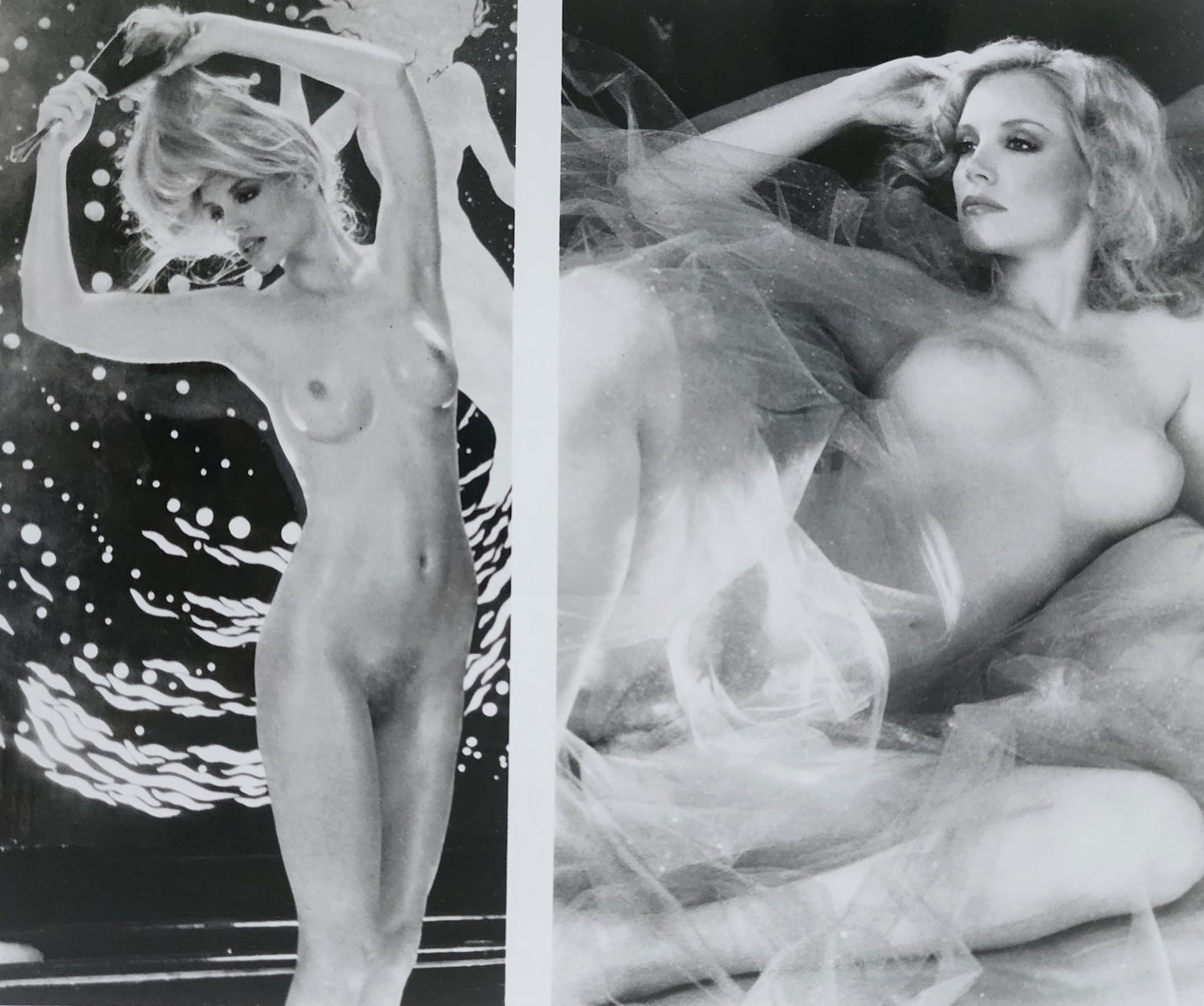 Shannon Tweed 'Top Model & Movie Star, Vintage original Photo 1980s (1 of 1)