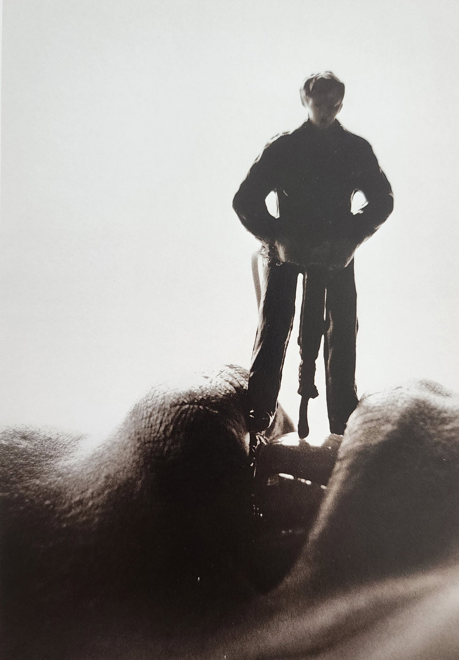 Allan Teger 'Body fantasy' 1995 (1 of 1)