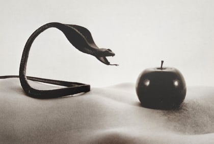 Allan Teger 'Body fantasy' 1995