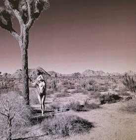 Ray Valentine, Woman in nature, 2000s