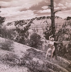 Ray Valentine, Woman in nature, 2000s