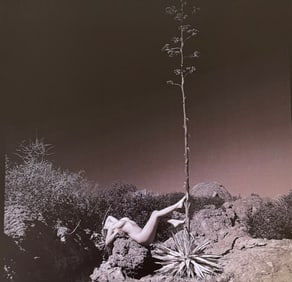 Ray Valentine, Woman in nature, 2000s