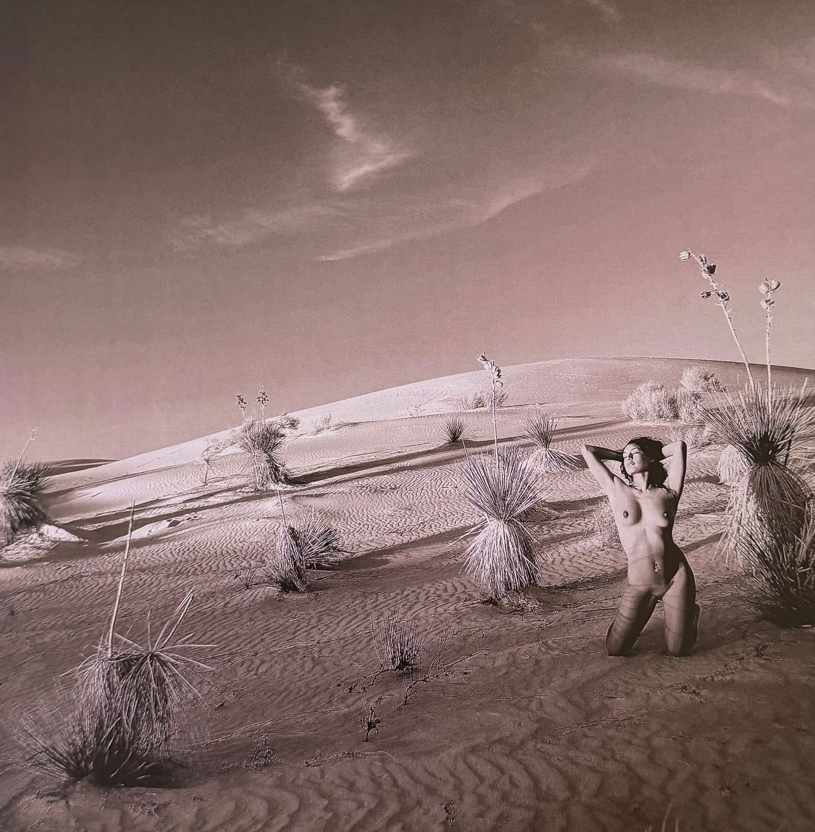 Ray Valentine, Woman in nature, 2000s (1 of 1)