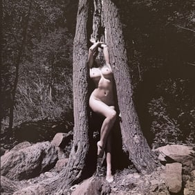 Ray Valentine, Woman in nature, 2000s