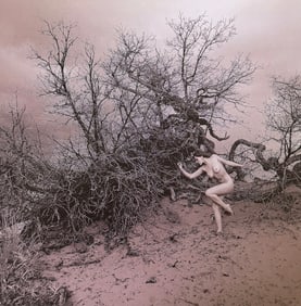 Ray Valentine, Woman in nature, 2000s