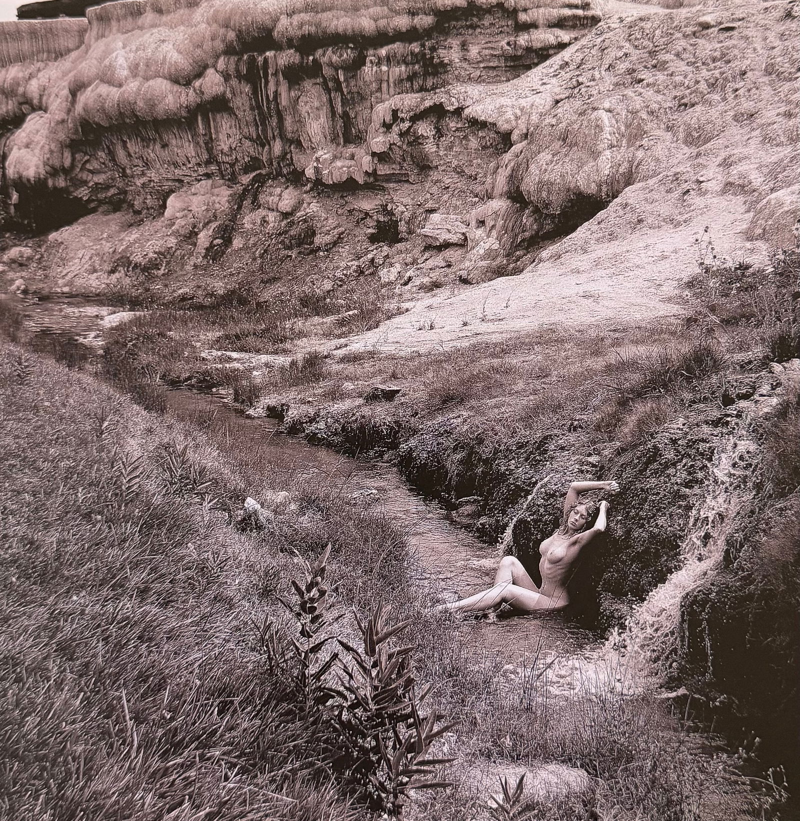 Ray Valentine, Woman in nature, 2000s (1 of 1)