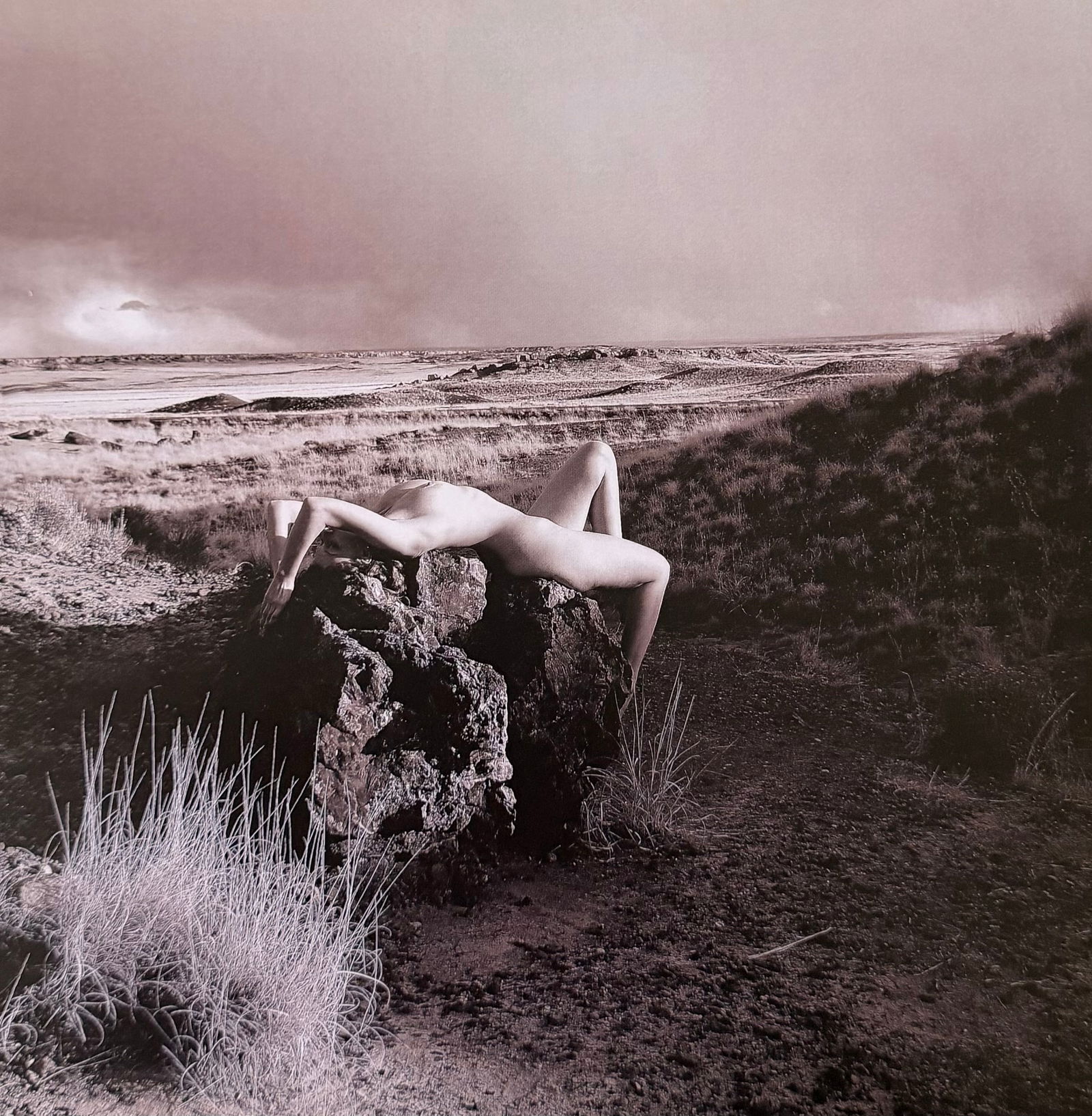 Ray Valentine, Woman in nature, 2000s (1 of 1)