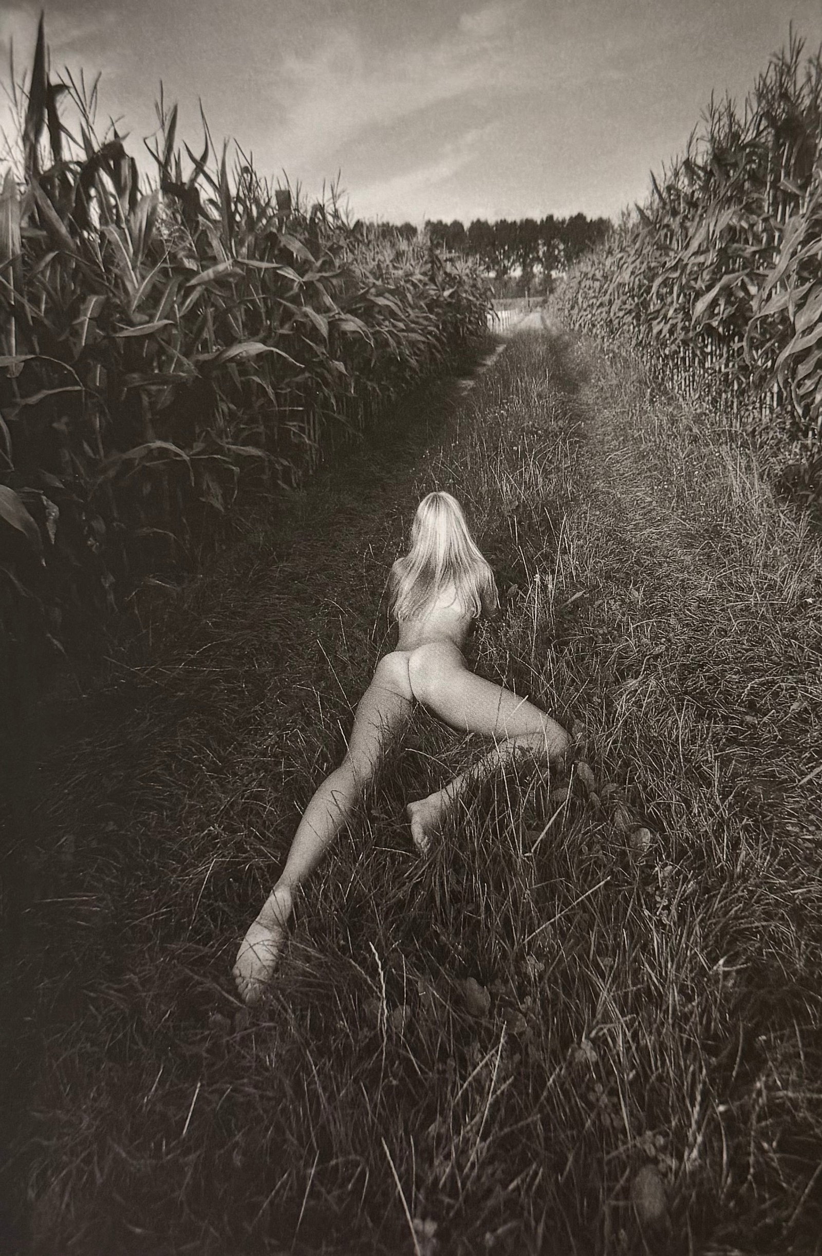 Pascal Baetens, The Art of Nude, 2003: Artist/Photographer: Pascal Baetens Title/Subject: The Art of Nude Type Of Print: Authentic Sheet Fed Photogravure/Heliogravure. Date Of Print: 2003 Paper: Medium weight, satin/matte finish. Print Ori