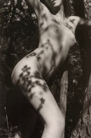 Pascal Baetens, The Art of Nude, 2003