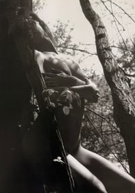 Pascal Baetens, The Art of Nude, 2003