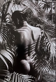 JOAQUIM NABUCO 'BRAZILIAN BEAUTIES' 2010