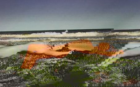 JOAQUIM NABUCO 'BRAZILIAN BEAUTIES' 2010