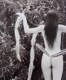 JOAQUIM NABUCO 'BRAZILIAN BEAUTIES' 2010