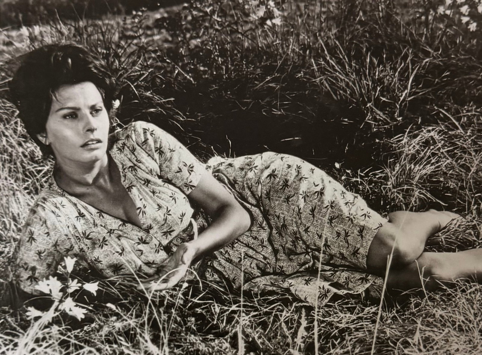 Sophia Loren, My life, 2008: Model/movie star: Sophia Loren Title/Subject: My life Type Of Print: Authentic Sheet Fed Photogravure/Heliogravure. Date Of Print: 2008 Paper: Medium weight, satin/matte finish. Print Origin: Italy Ap