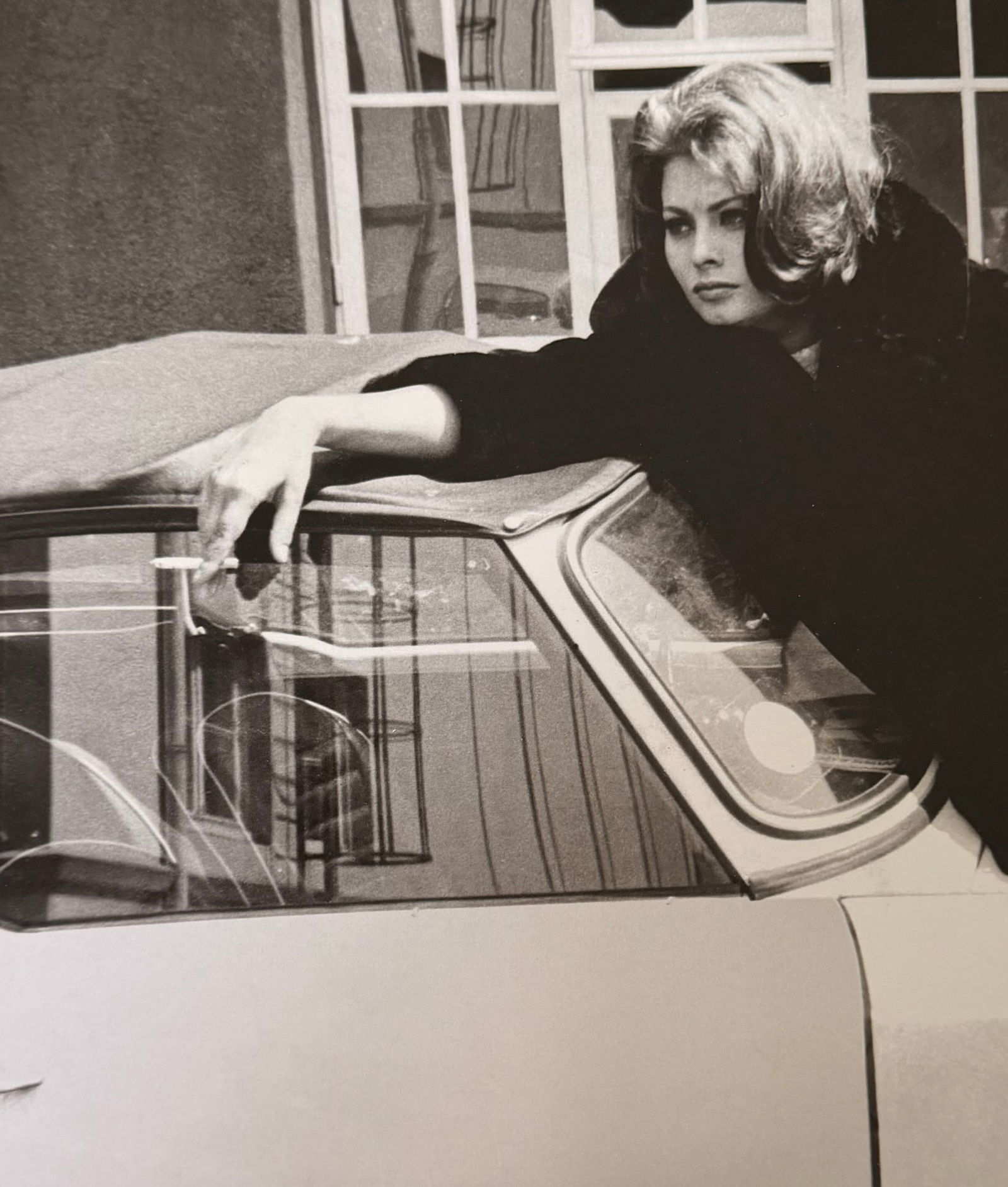 Sophia Loren, My life, 2008 (1 of 1)