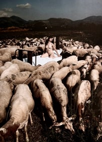 Konstantin Fomkin, Best nude contemporary, 2019