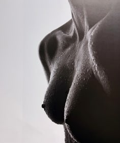 Oleg Semenets, Best nude contemporary, 2019