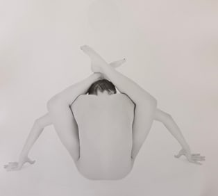 Jonathon Harrington, Flexibility, 2015