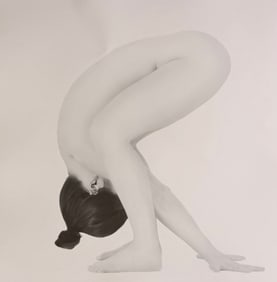 Jonathon Harrington, Flexibility, 2015