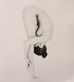 Jonathon Harrington, Flexibility, 2015