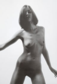 Nippon Geijutsu, Naturaly Beautiful, 1994