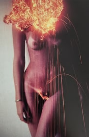 Nippon Geijutsu, Naturaly Beautiful, 1994