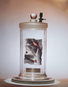 Nippon Geijutsu, Naturaly Beautiful, 1994